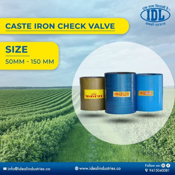 Caste Iron Check Valve