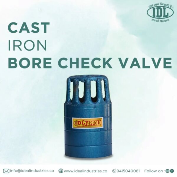 Bore Check Valve